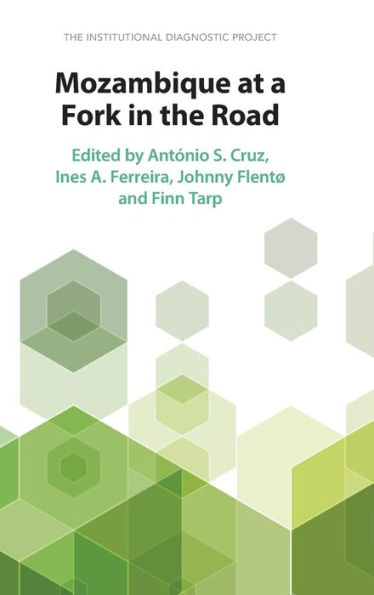 Mozambique At A Fork In The Road: The Institutional Diagnostic Project