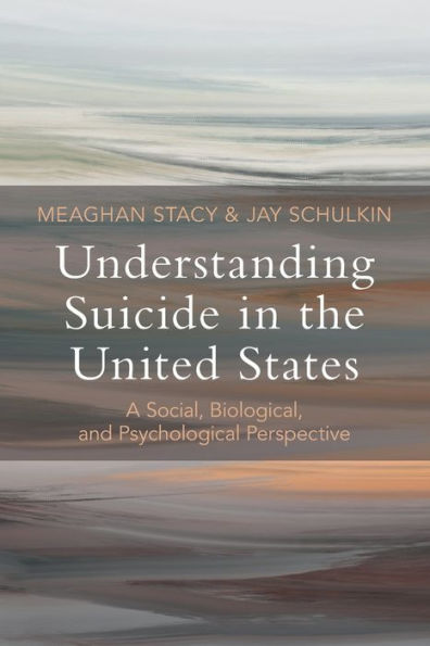 Understanding Suicide In The United States