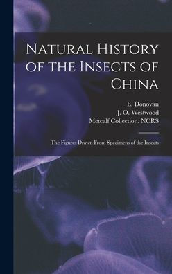 Natural History Of The Insects Of China: The Figures Drawn From Specimens Of The Insects