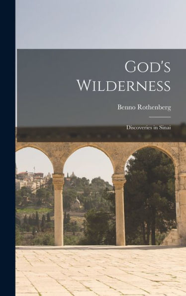 God'S Wilderness: Discoveries In Sinai