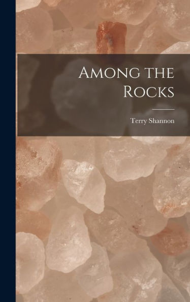 Among The Rocks