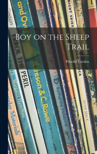 Boy On The Sheep Trail