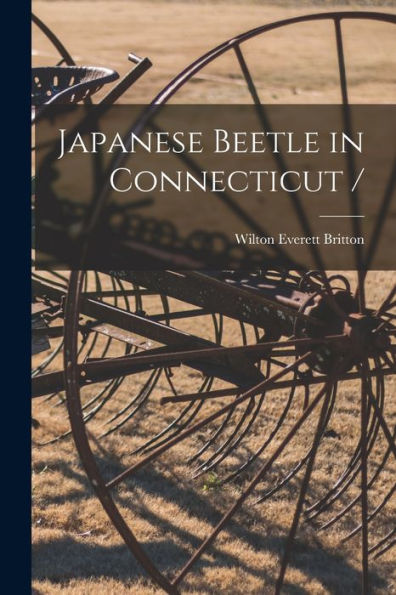 Japanese Beetle In Connecticut /