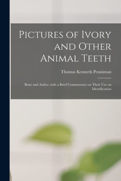 Pictures Of Ivory And Other Animal Teeth: Bone And Antler; With A Brief Commentary On Their Use On Identification
