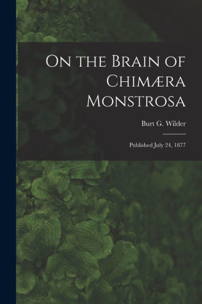 On The Brain Of Chimæra Monstrosa: Published July 24, 1877