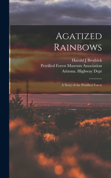 Agatized Rainbows: A Story Of The Petrified Forest