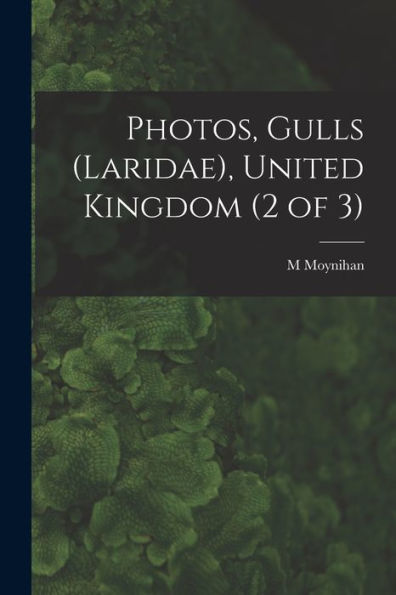 Photos, Gulls (Laridae), United Kingdom (2 Of 3)