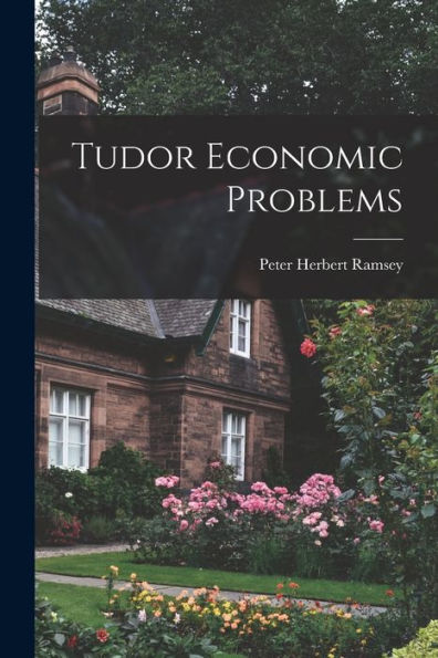 Tudor Economic Problems