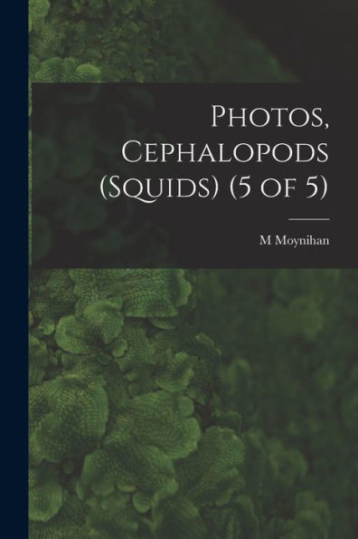 Photos, Cephalopods (Squids) (5 Of 5)