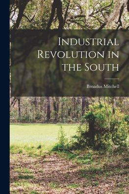 Industrial Revolution In The South
