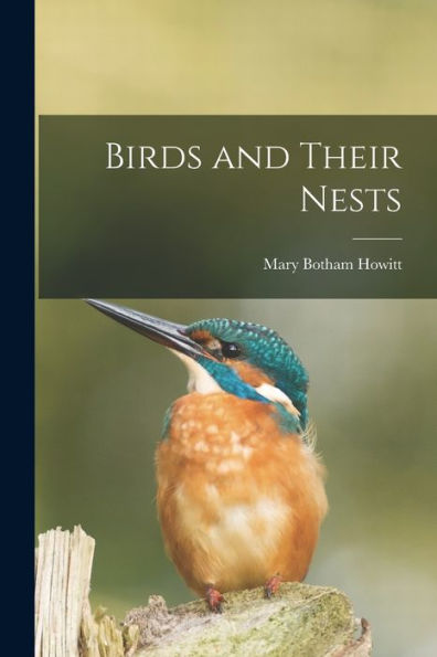 Birds And Their Nests