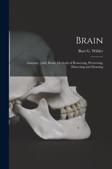Brain: Anatomy [And] Brain: Methods Of Removing, Preserving, Dissecting And Drawing