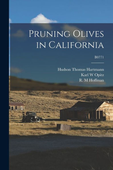 Pruning Olives In California; B0771