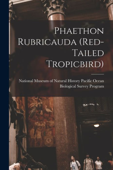 Phaethon Rubricauda (Red-Tailed Tropicbird)