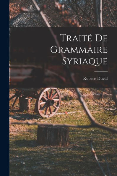 Traité De Grammaire Syriaque (French Edition)