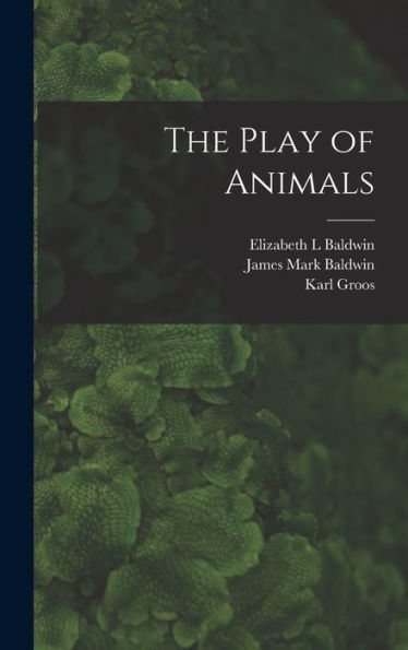 The Play Of Animals