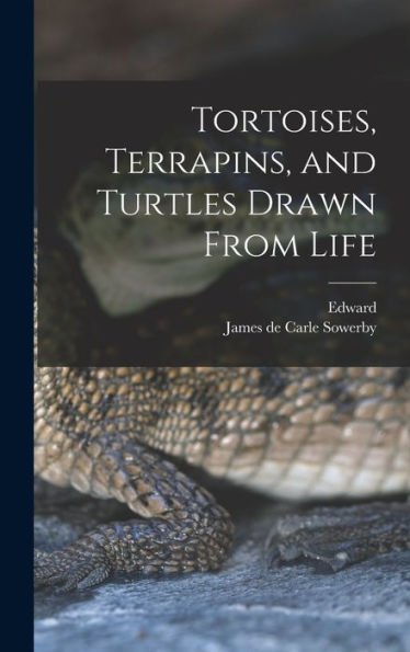 Tortoises, Terrapins, And Turtles Drawn From Life
