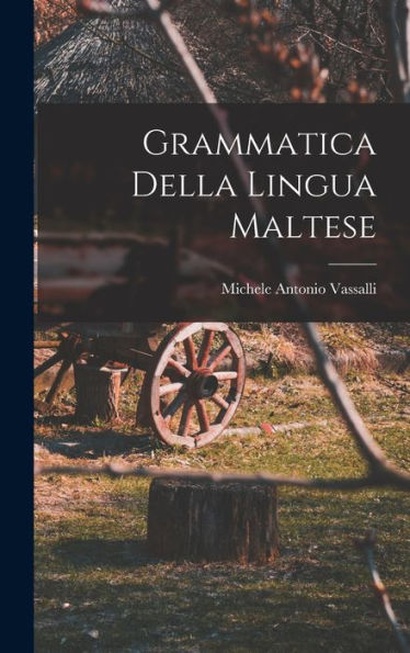 Grammatica Della Lingua Maltese (Italian Edition)