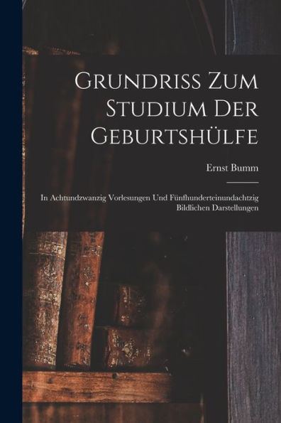 Grundriss Zum Studium Der Geburtshülfe: In Achtundzwanzig Vorlesungen Und Fünfhunderteinundachtzig Bildlichen Darstellungen (German Edition)