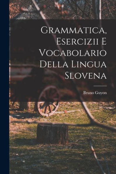 Grammatica, Esercizii E Vocabolario Della Lingua Slovena (Italian Edition)