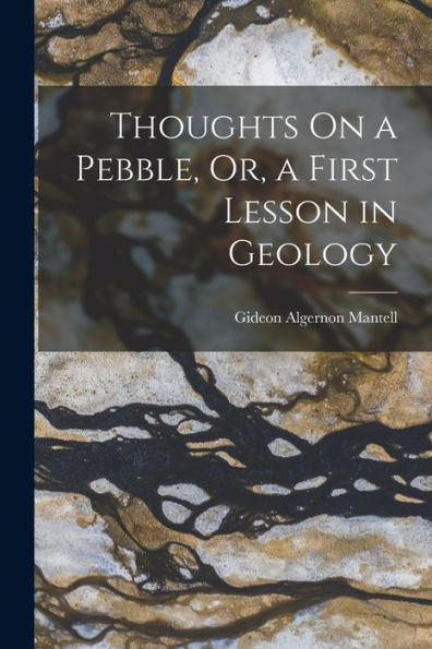 Thoughts On A Pebble, Or, A First Lesson In Geology
