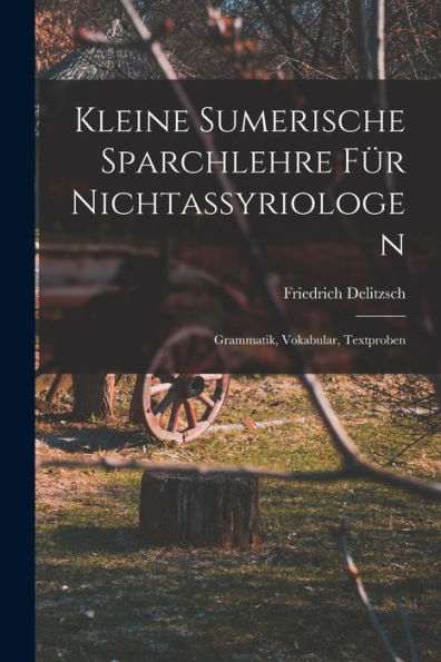 Kleine Sumerische Sparchlehre Für Nichtassyriologen; Grammatik, Vokabular, Textproben (German Edition)