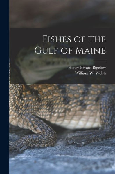 Fishes Of The Gulf Of Maine