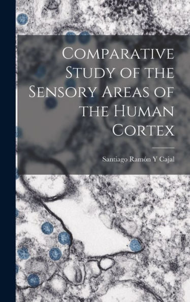 Comparative Study Of The Sensory Areas Of The Human Cortex