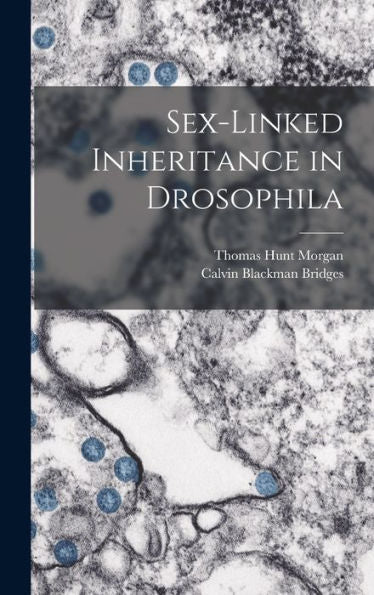 Sex-Linked Inheritance In Drosophila