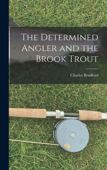 The Determined Angler And The Brook Trout
