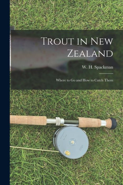 Trout In New Zealand: Where To Go And How To Catch Them