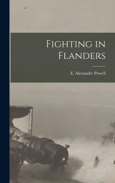 Fighting In Flanders