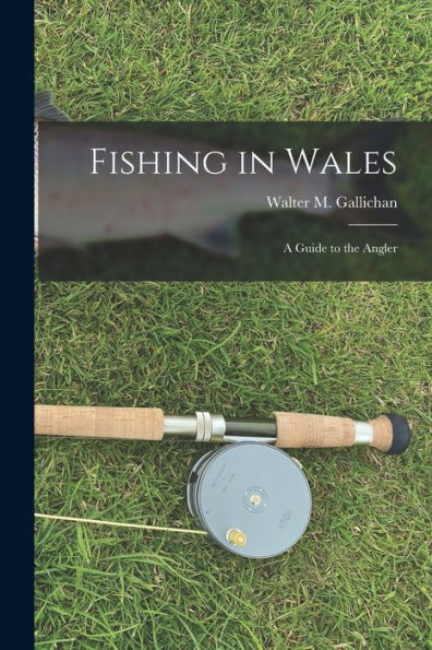 Fishing In Wales: A Guide To The Angler