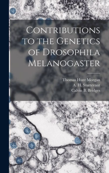 Contributions To The Genetics Of Drosophila Melanogaster