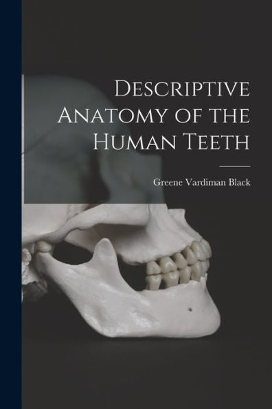 Descriptive Anatomy Of The Human Teeth