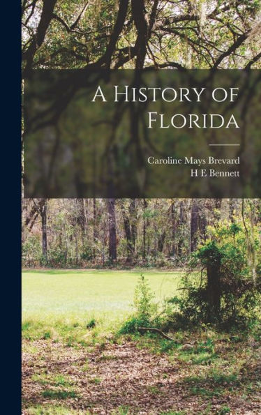 A History Of Florida