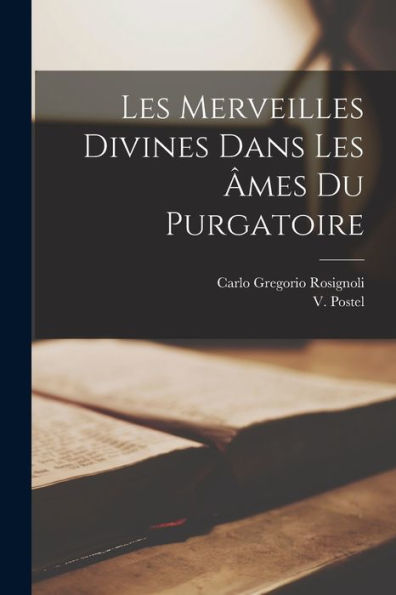 Les Merveilles Divines Dans Les Âmes Du Purgatoire (French Edition)