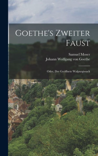 Goethe'S Zweiter Faust; Oder, Der Geöffnete Walpurgissack (German Edition)