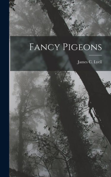 Fancy Pigeons