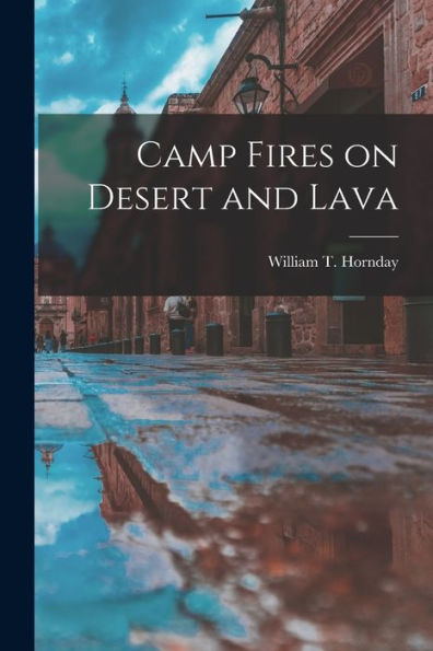 Camp Fires On Desert And Lava