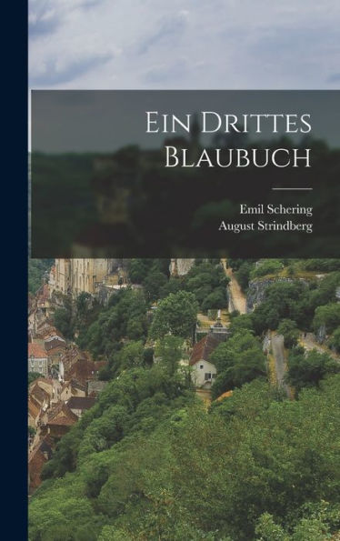 Ein Drittes Blaubuch (German Edition)