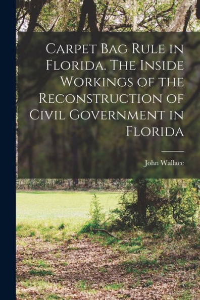 Carpet Bag Rule In Florida. The Inside Workings Of The Reconstruction Of Civil Government In Florida