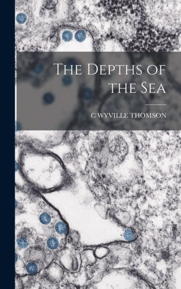 The Depths Of The Sea