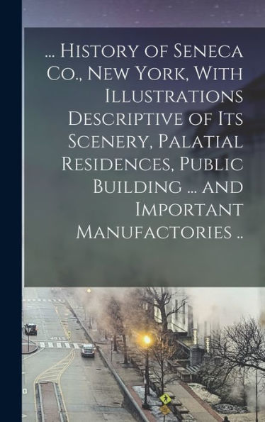 ... History Of Seneca Co., New York, With Illustrations Descriptive Of Its Scenery, Palatial Residences, Public Building ... And Important Manufactories ..