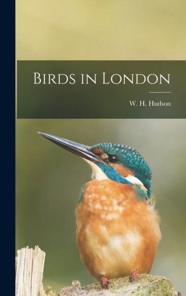 Birds In London