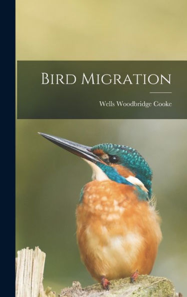 Bird Migration