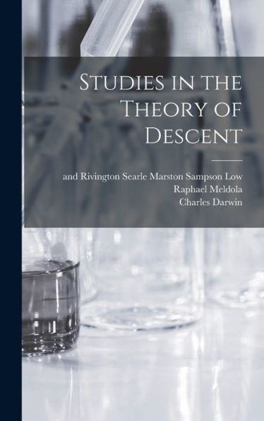 Studies In The Theory Of Descent