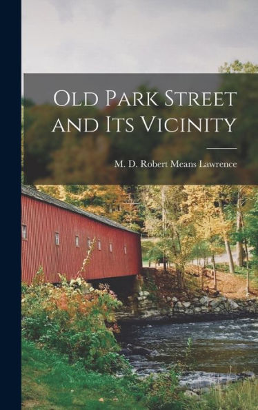 Old Park Street And Its Vicinity