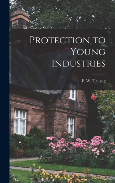 Protection To Young Industries
