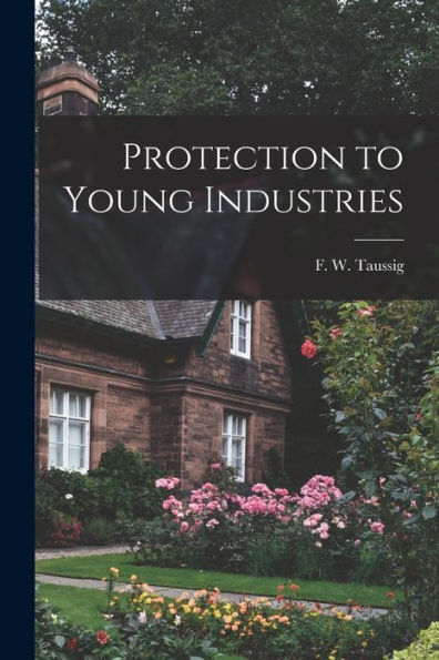 Protection To Young Industries
